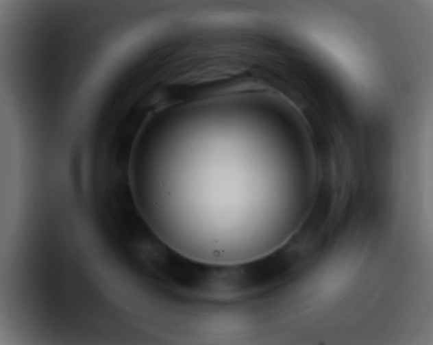 X0000093160382200710031450