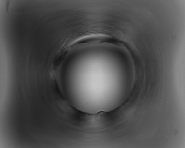 X0000093160384200710031450