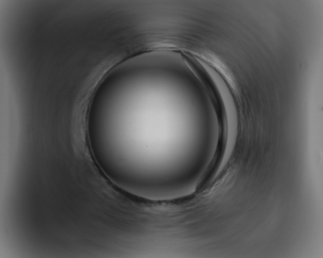 X0000093160385200710031450