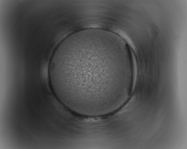X0000093160386200710031450