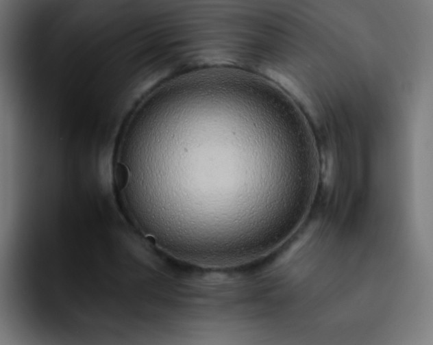 X0000093160390200710031450