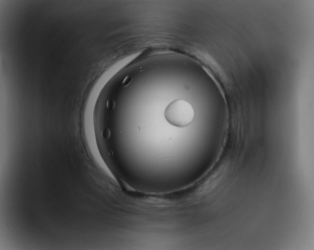 X0000093160393200710031450