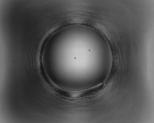 X0000093160395200710031450
