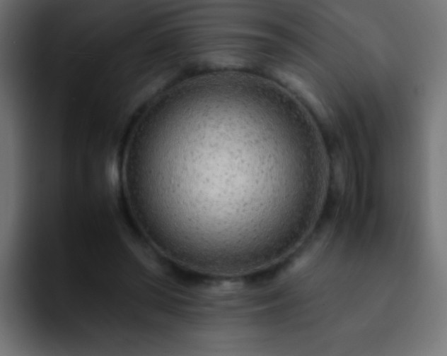 X0000093160398200710031449