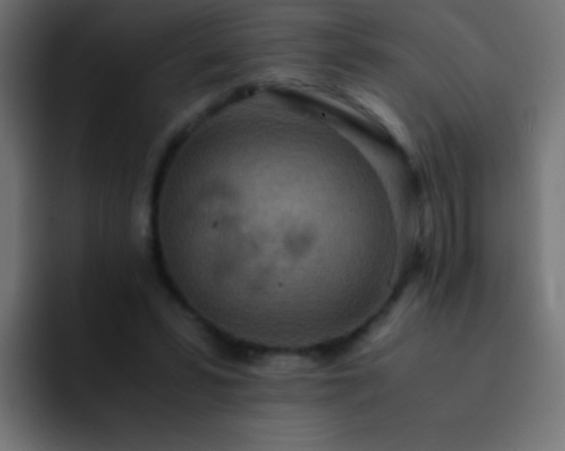 X0000093160399200710031449