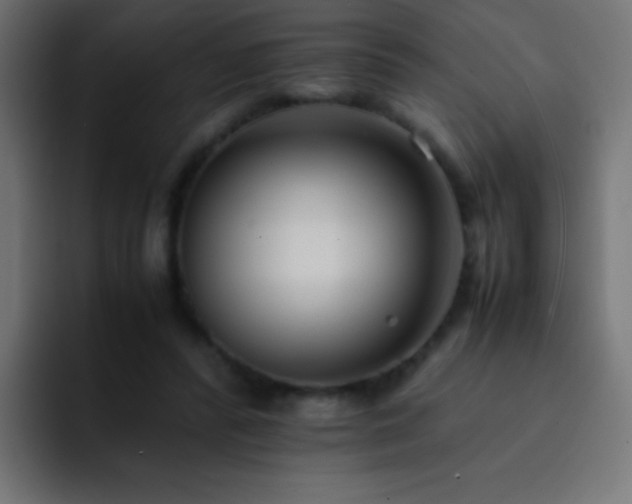 X0000093160400200710031449