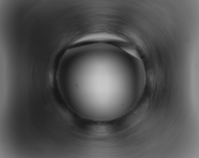 X0000093160404200710031449