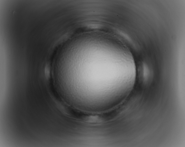X0000093160406200710031449