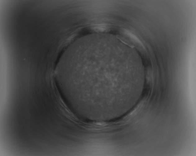 X0000093160409200710031449