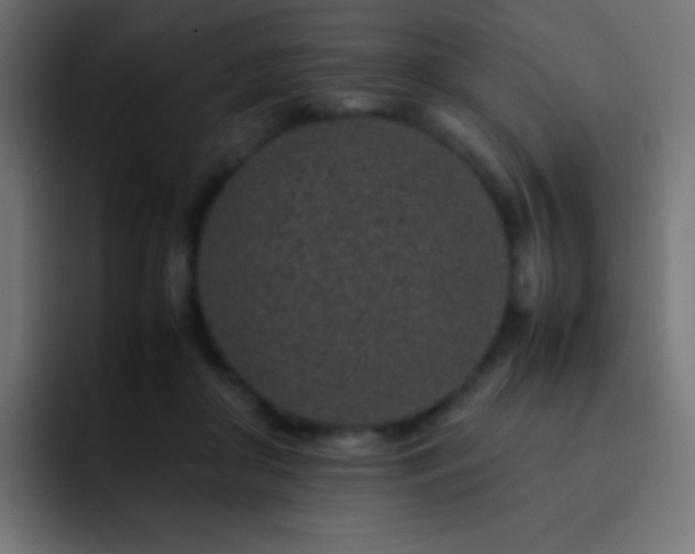 X0000093160410200710031449