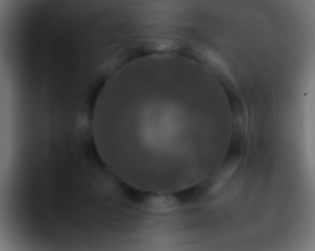 X0000093160415200710031449