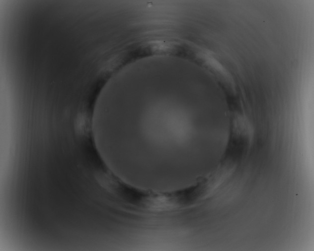 X0000093160419200710031449