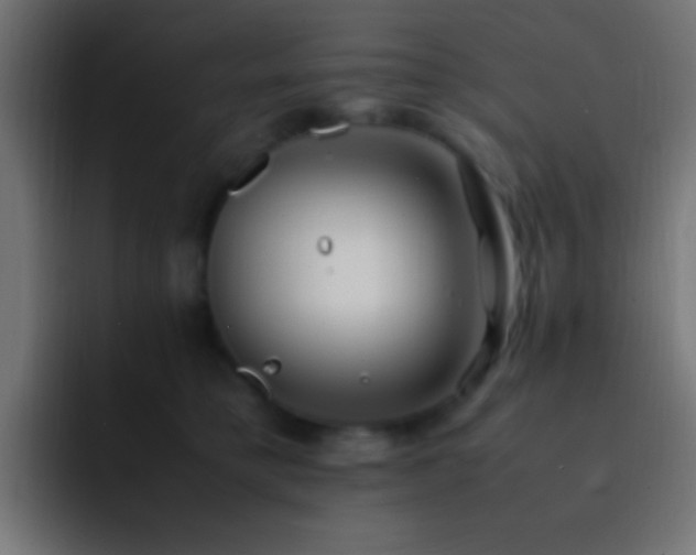 X0000093160421200710031449