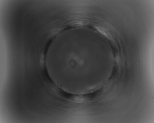X0000093160423200710031449