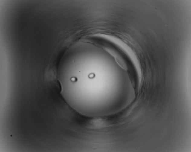 X0000093160425200710031449