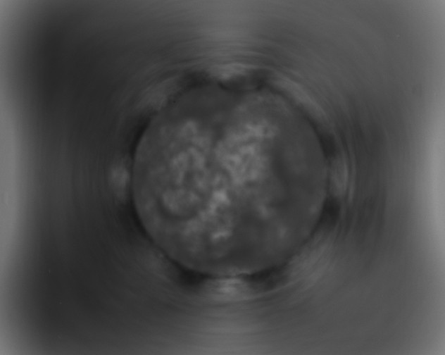 X0000093160427200710031449