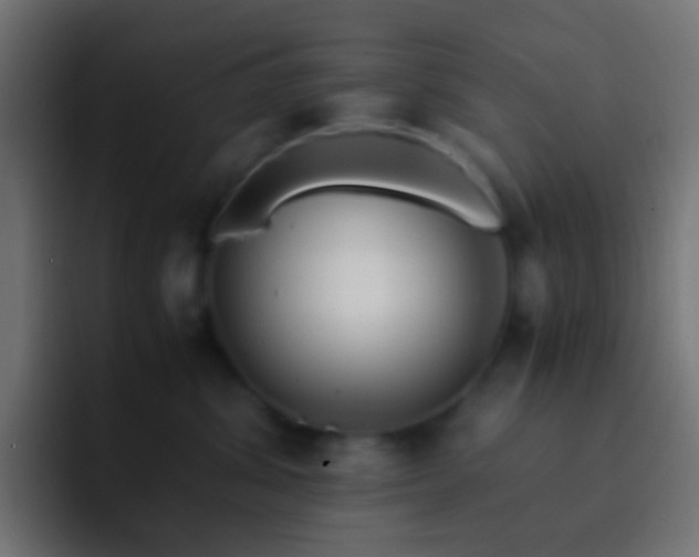 X0000093160428200710031449