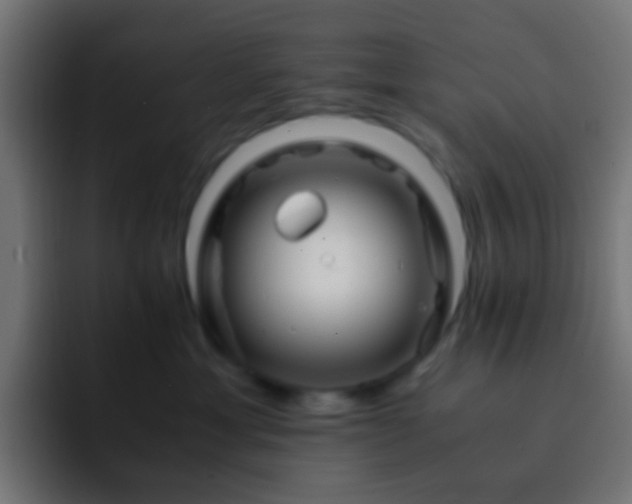 X0000093160429200710031449