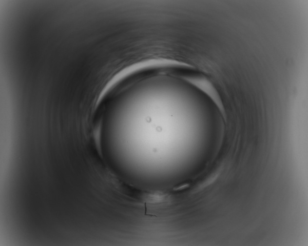 X0000093160432200710031449