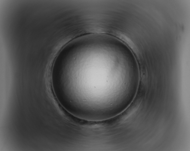 X0000093160433200710031449