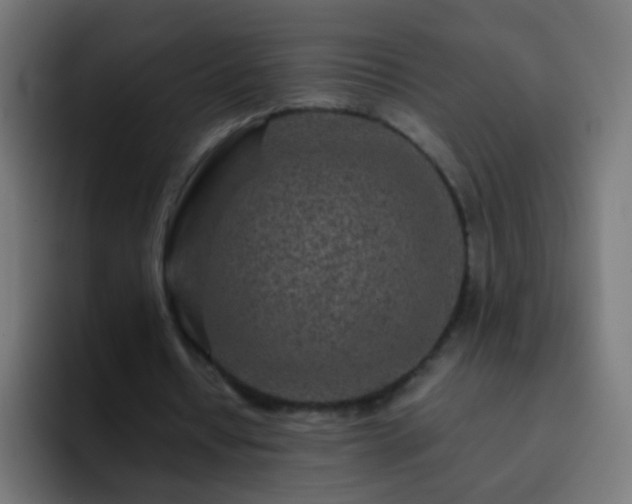 X0000093160434200710031449