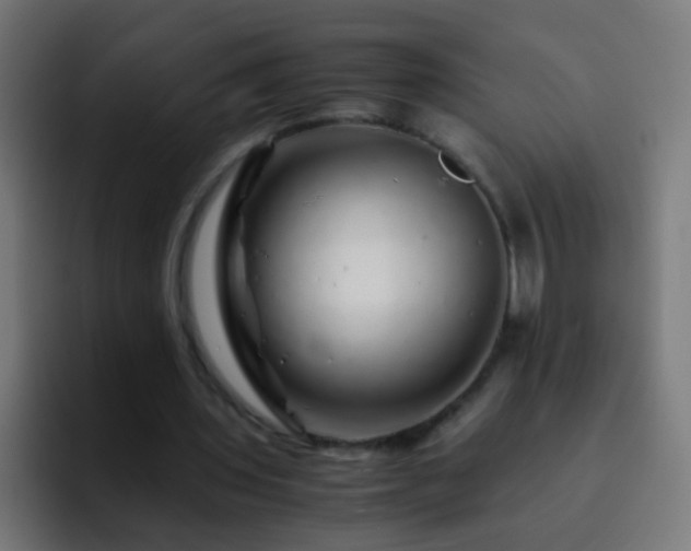 X0000093160435200710031449
