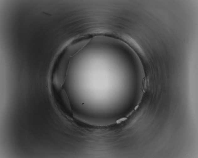 X0000093160436200710031449