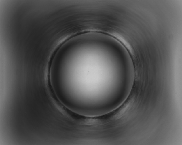 X0000093160437200710031449