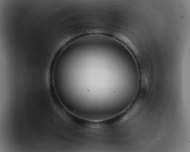 X0000093160439200710031449