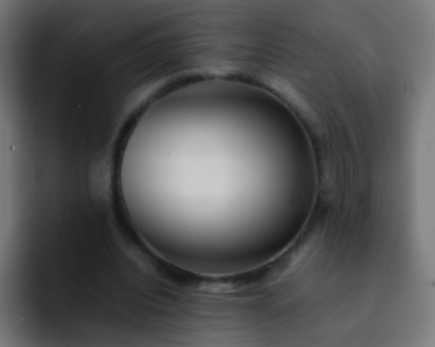 X0000093160440200710031449