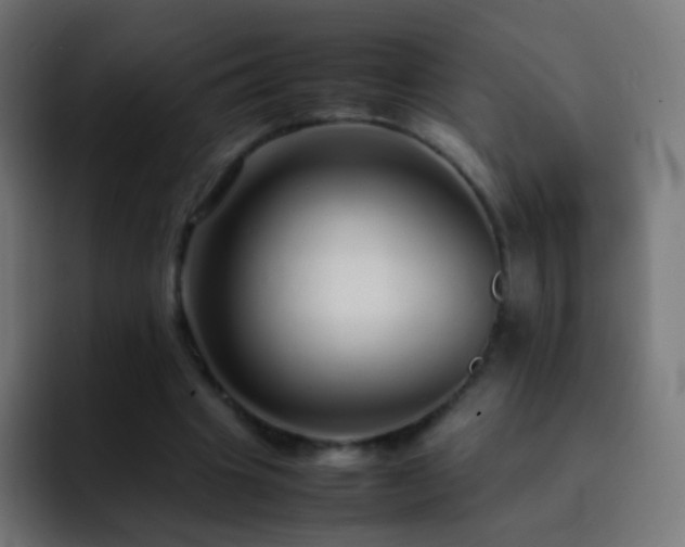 X0000093160441200710031449