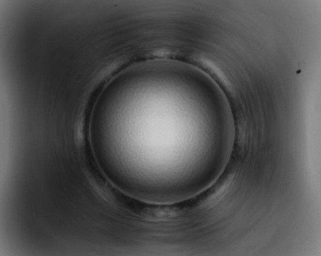 X0000093160443200710031449