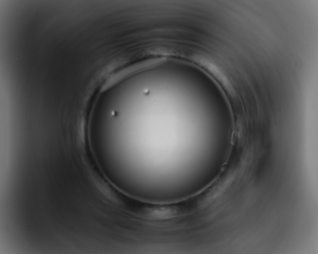 X0000093160445200710031449