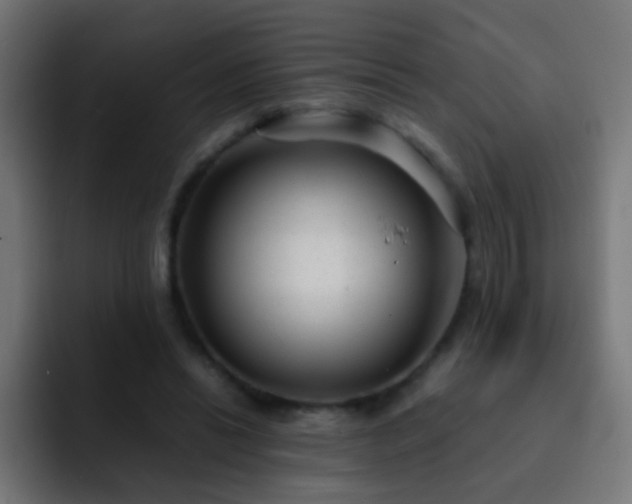 X0000093160446200710031449