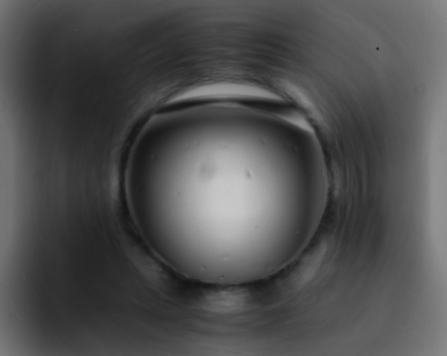 X0000093160447200710031449