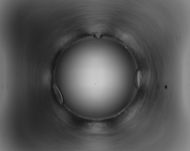 X0000093160448200710031449