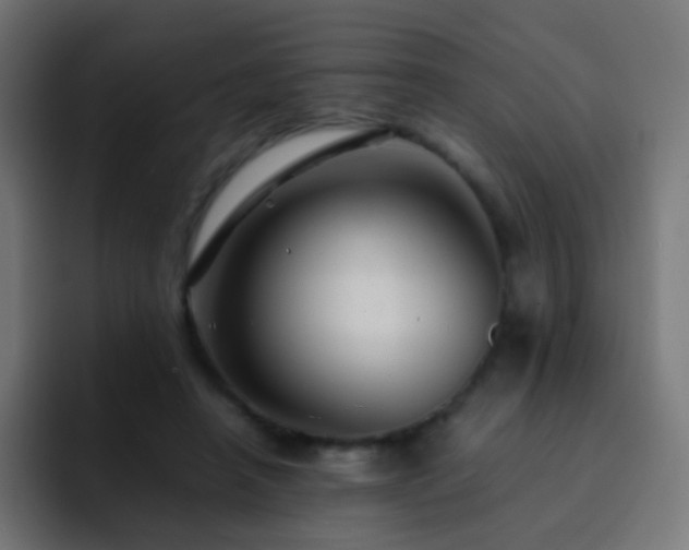 X0000093160450200710031449