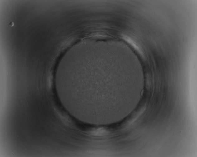 X0000093160451200710031449