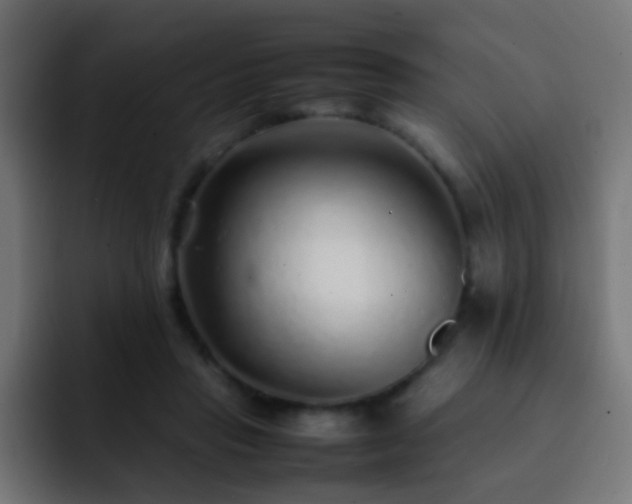X0000093160453200710031449