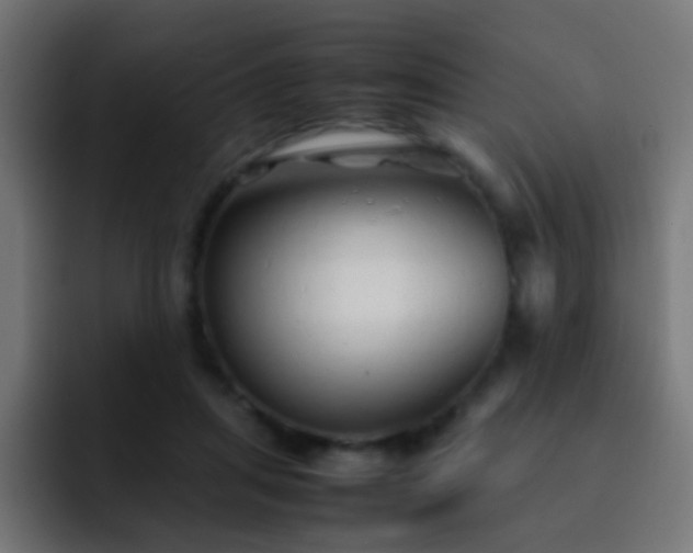 X0000093160455200710031449