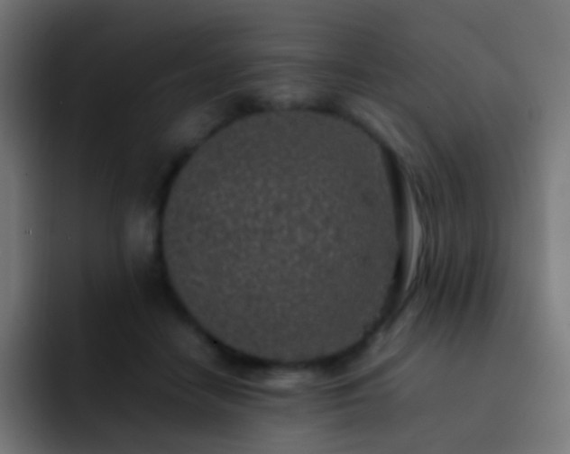 X0000093160458200710031449
