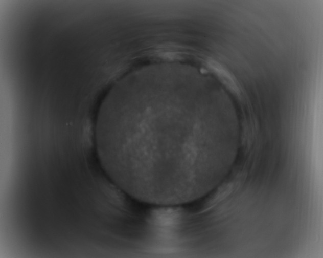 X0000093160465200710031449