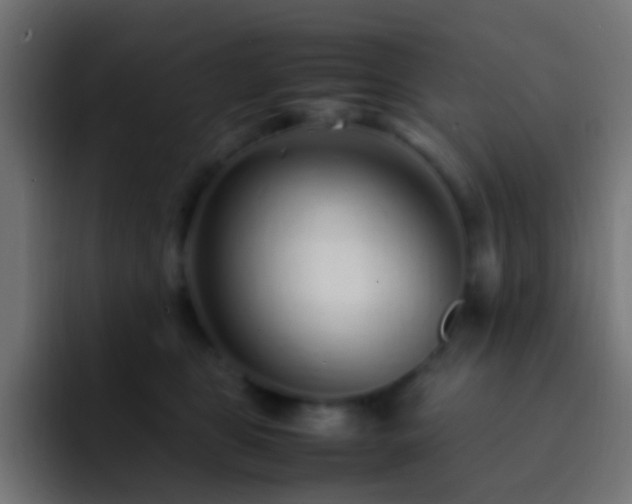 X0000093160469200710031449