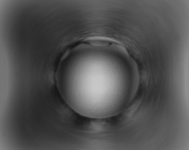 X0000093160470200710031449