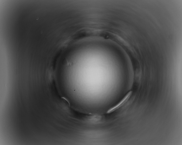 X0000093160474200710031449