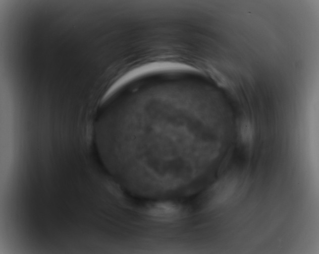 X0000093160475200710031449