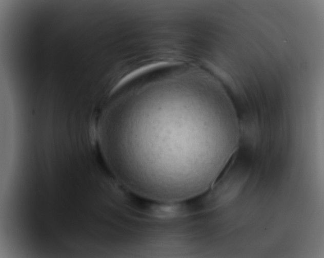 X0000093160479200710031449