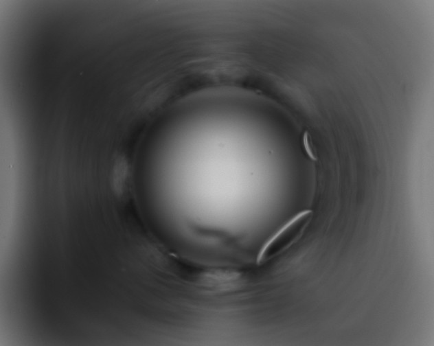 X0000093160480200710031449
