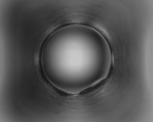 X0000093160483200710031448