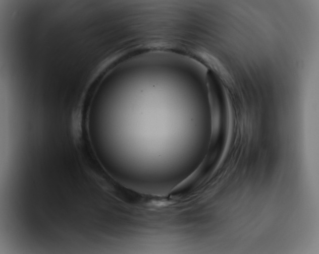 X0000093160484200710031448